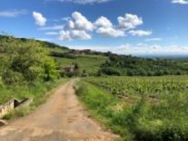 Beaujolais 21/05/2024